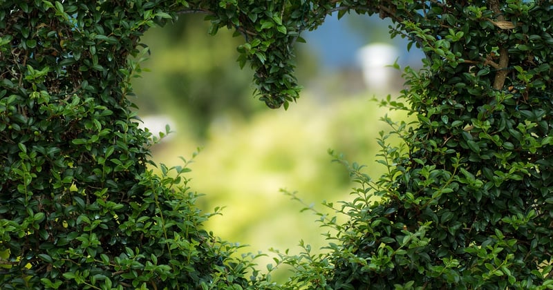 Guide pour débuter en référencement naturel : les bases à maîtriser